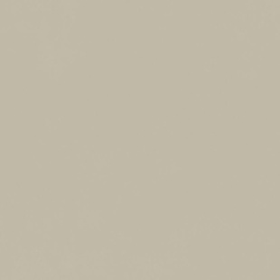 Керамогранит Italon Форум Слим Дезерт арт. 610010004140 (80x80) под бетон, коричневый, матовый